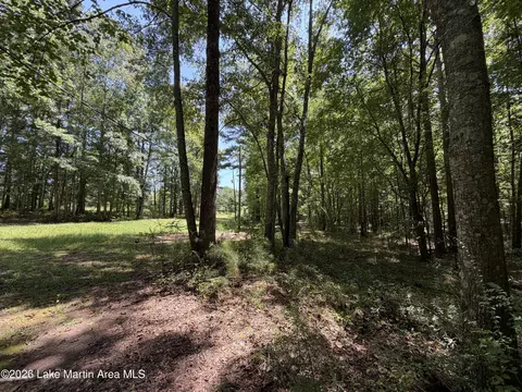 357 Walkabout Ranch Rd, Daviston, AL 36256 photo 13