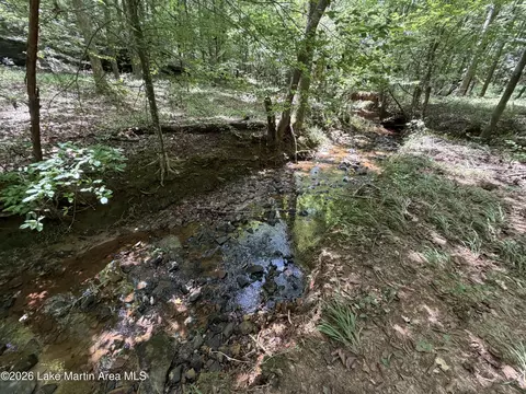 357 Walkabout Ranch Rd, Daviston, AL 36256 photo 26