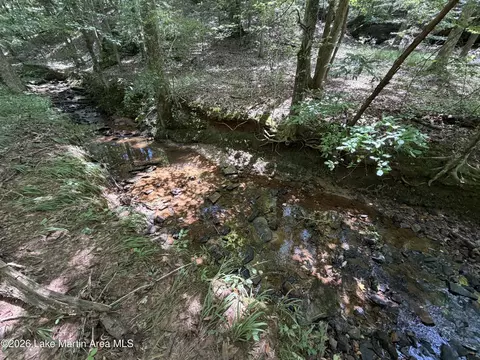 357 Walkabout Ranch Rd, Daviston, AL 36256 photo 5