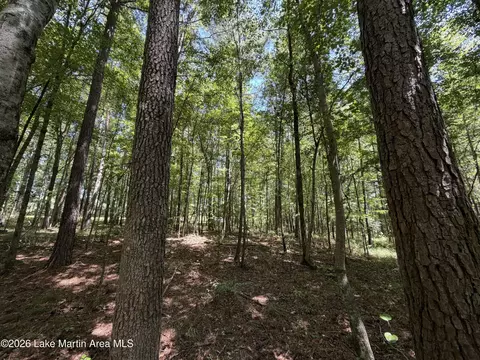 357 Walkabout Ranch Rd, Daviston, AL 36256 photo 25