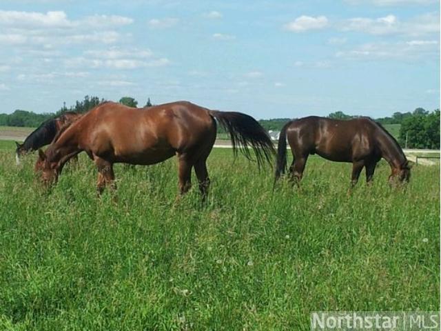 1424 County 9 Blvd, Dennison, MN 55018 photo 16