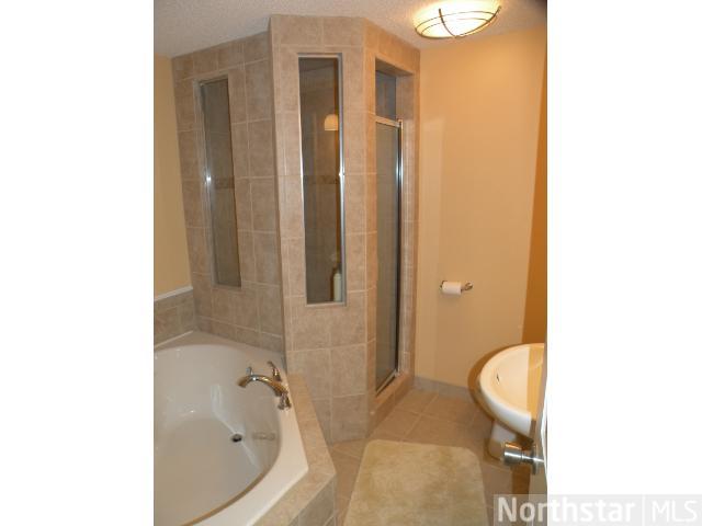 11707 Douglas Dr N, Champlin, MN 55316 photo 14
