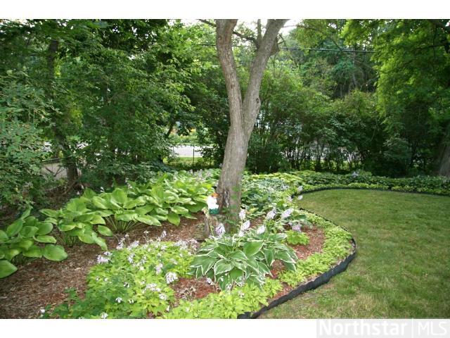 5366 Eagle St, Saint Paul, MN 55110 photo 3