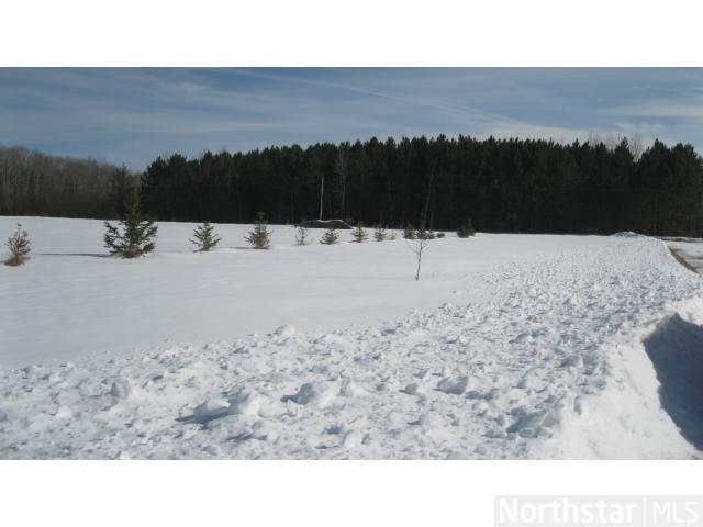 1195 Gisler Rd, Wright, MN 55798 photo 4