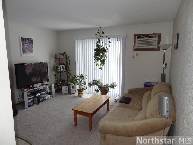 25 W Weisel St #102, Litchfield, MN 55355 photo 3
