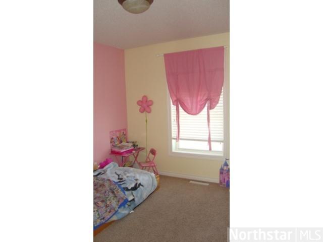 809 Griffing Park Rd, Buffalo, MN 55313 photo 10