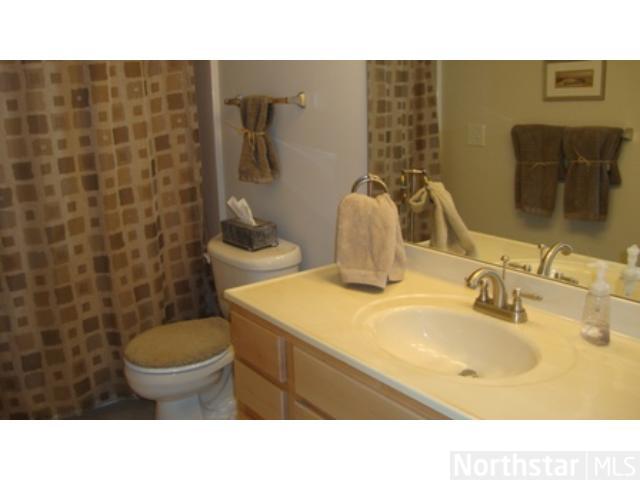 809 Griffing Park Rd, Buffalo, MN 55313 photo 11