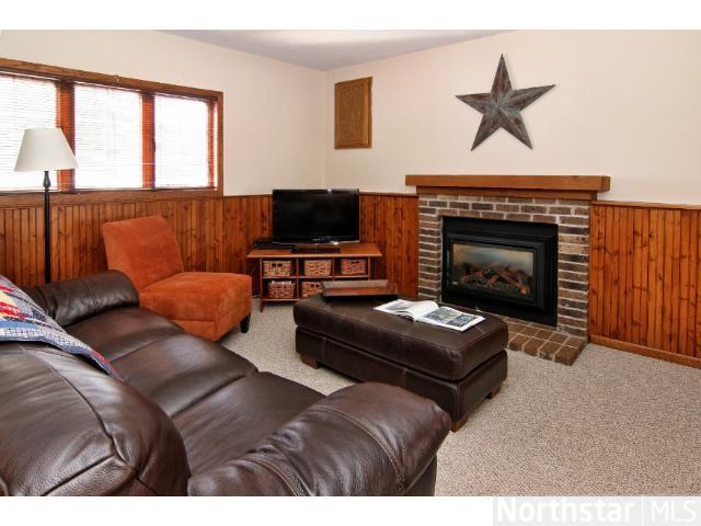 14228 Dearborn Path, Rosemount, MN 55068 photo 8