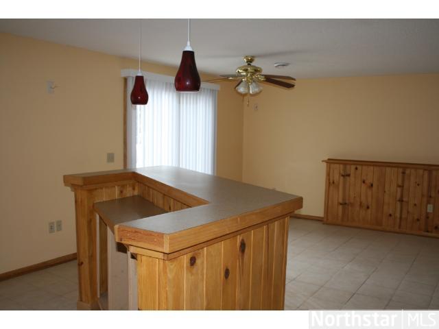 22 Sunset E Dr, Champlin, MN 55316 photo 11