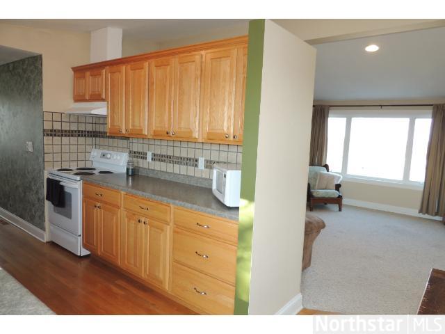 18751 730th Ave, Dassel, MN 55325 photo 6