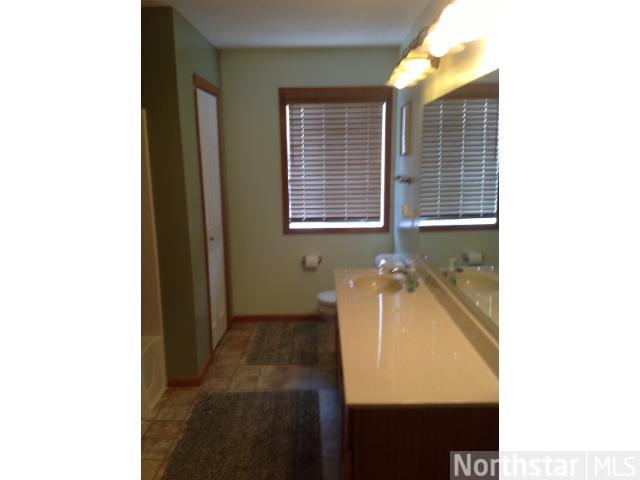 14186 Avalon Path, Rosemount, MN 55068 photo 12
