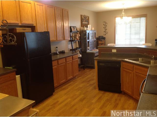 14186 Avalon Path, Rosemount, MN 55068 photo 13