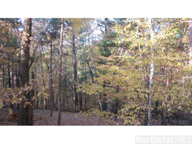 31526 Lakeview Dr, Cushing, MN 56443 photo 16