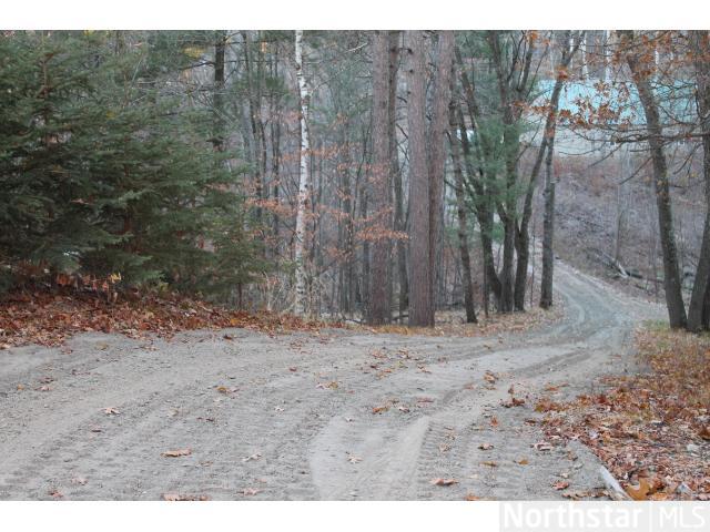 31526 Lakeview Dr, Cushing, MN 56443 photo 18