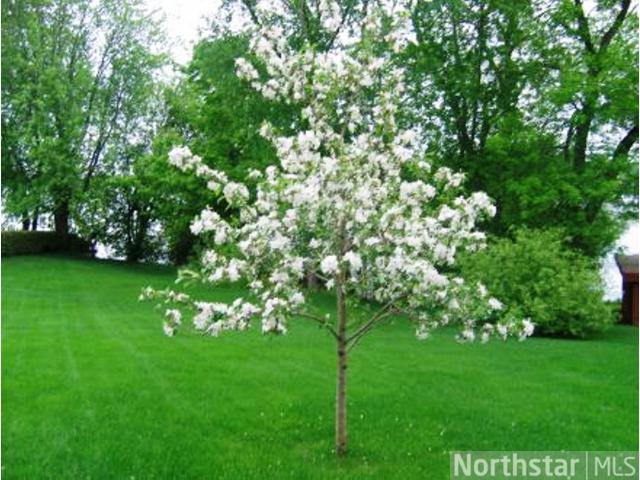 630 Hickman Dr, Sauk Centre, MN 56378 photo 2