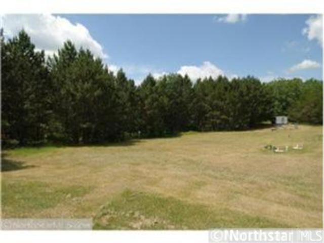 27447 County 26, Browerville, MN 56438 photo 4