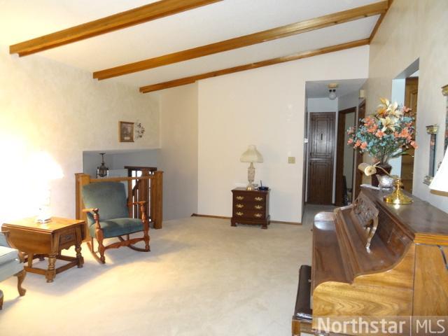 340 Forest Dr, Circle Pines, MN 55014 photo 12