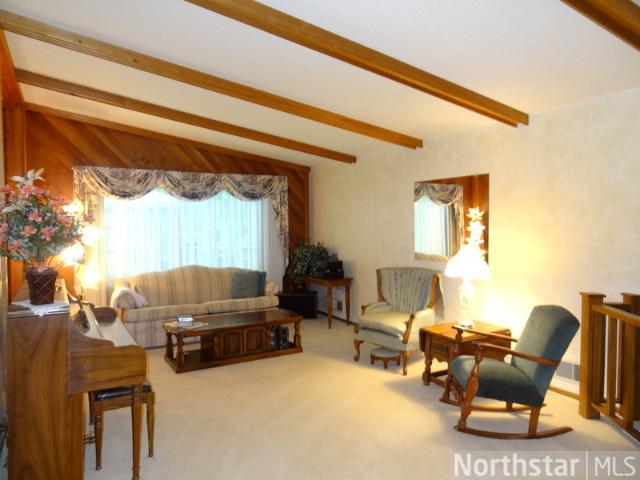 340 Forest Dr, Circle Pines, MN 55014 photo 11