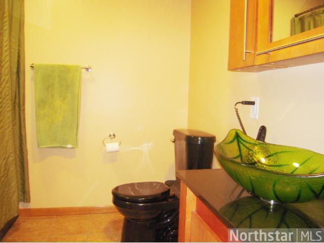 1303 Leo Ln, Buffalo, MN 55313 photo 13