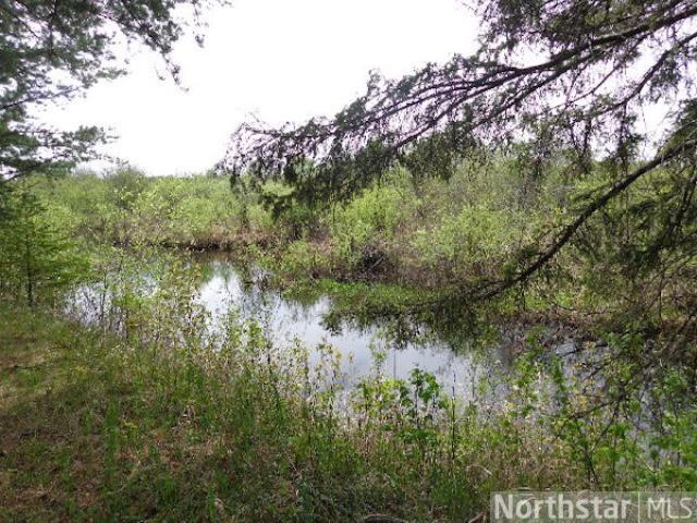 7955 Waris Rd, Embarrass, MN 55732 photo 9