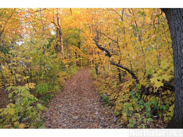 2455 Nelson Rd, Delano, MN 55328 photo 5