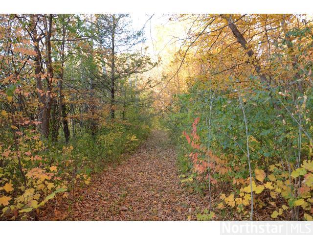 2455 Nelson Rd, Delano, MN 55328 photo 6