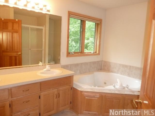 10434 Hidden Oaks N Ln, Champlin, MN 55316 photo 12