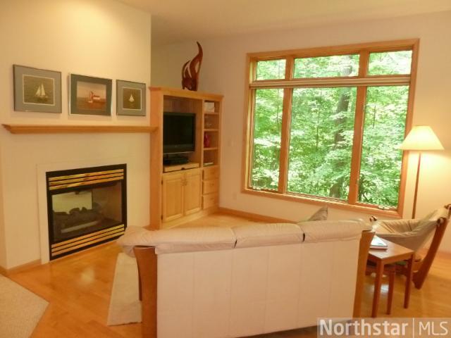 10434 Hidden Oaks N Ln, Champlin, MN 55316 photo 5