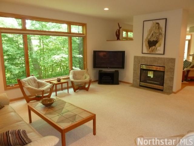 10434 Hidden Oaks N Ln, Champlin, MN 55316 photo 3