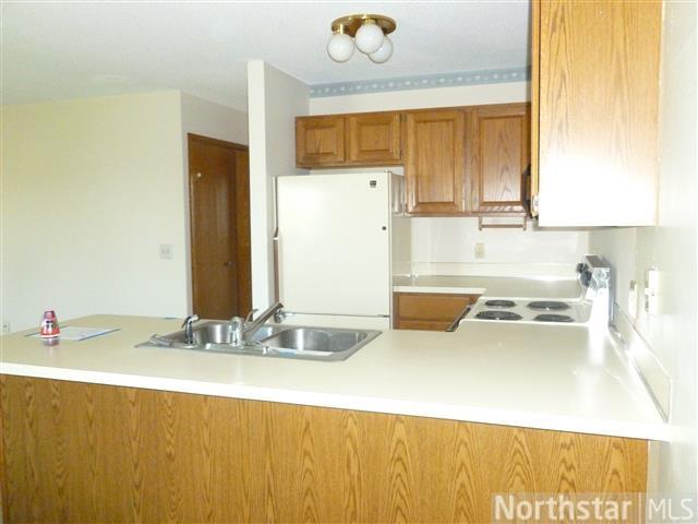 8563 S Pond Trl, Champlin, MN 55316 photo 8