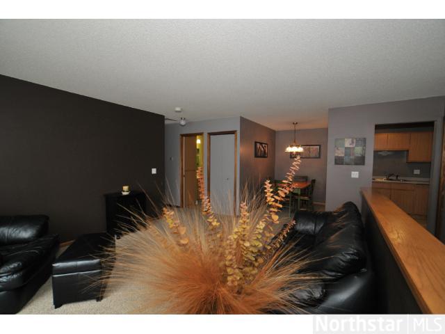 1438 Applegate Ln, Shakopee, MN 55379 photo 3