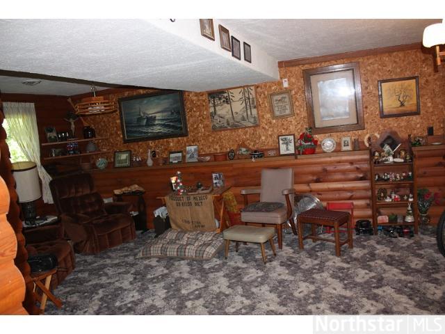 28048 County 6, Grey Eagle, MN 56336 photo 8