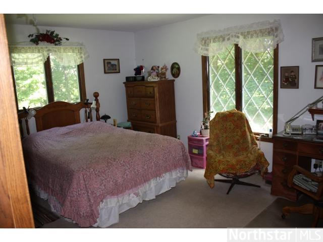 28048 County 6, Grey Eagle, MN 56336 photo 9