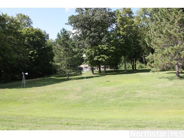 28048 County 6, Grey Eagle, MN 56336 photo 3