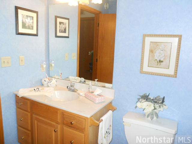 23965 Joan Ave, Hampton, MN 55031 photo 12