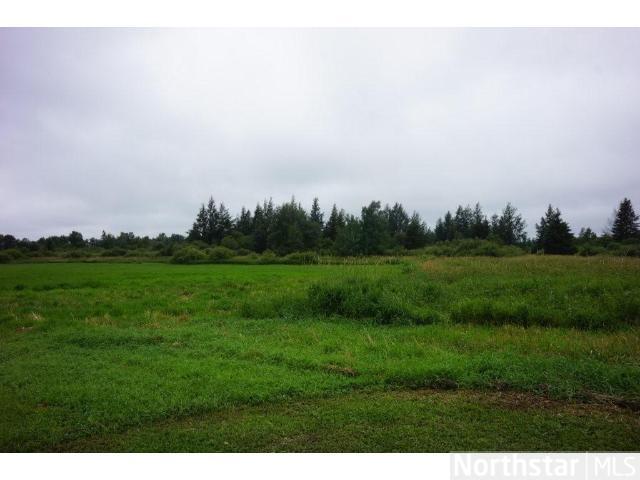10202 Fall Rd, Angora, MN 55703 photo 17