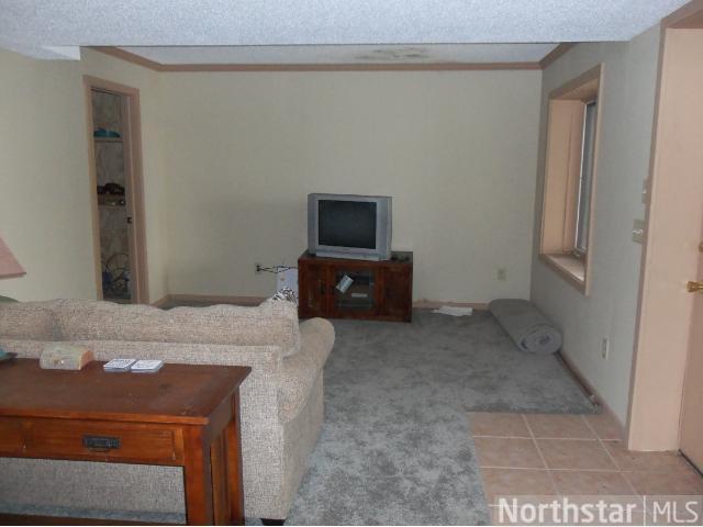 31683 Apron Trl, Cushing, MN 56443 photo 18