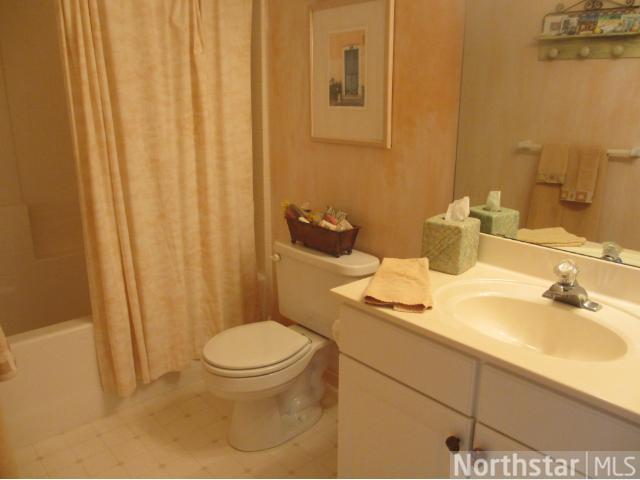 14675 Bloomfield Path, Rosemount, MN 55068 photo 13