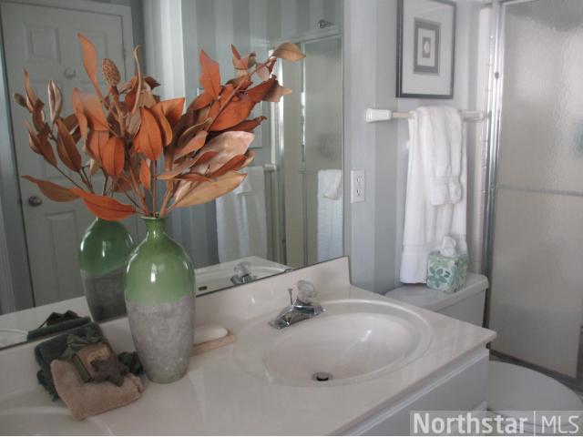 14675 Bloomfield Path, Rosemount, MN 55068 photo 11