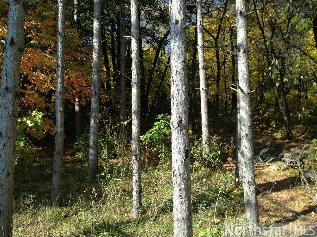 103 15th S Ave, Cold Spring, MN 56320 photo 3