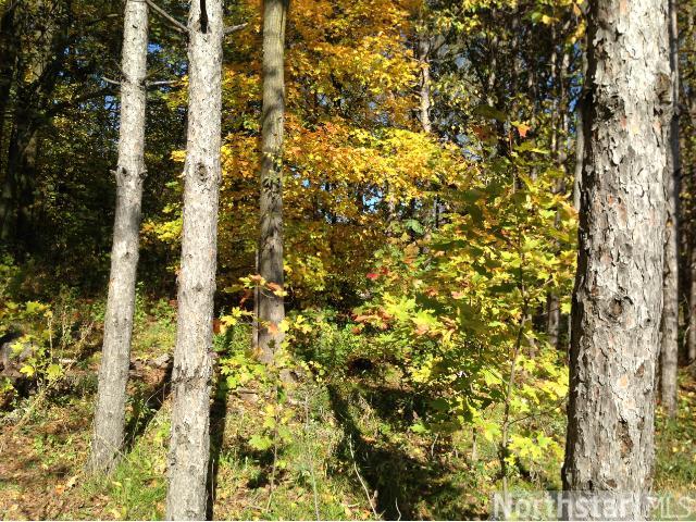 103 15th S Ave, Cold Spring, MN 56320 photo 4