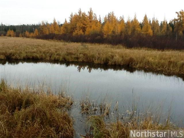 41208 County 5, Laporte, MN 56461 photo 3
