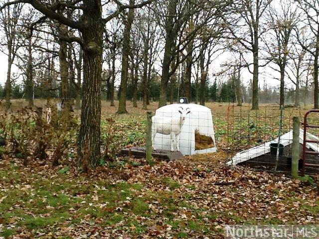 41208 County 5, Laporte, MN 56461 photo 17