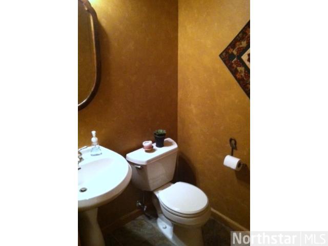 1316 Cobblestone Rd N, Champlin, MN 55316 photo 5
