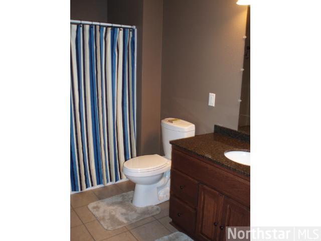 4956 109th N Pl, Champlin, MN 55316 photo 11