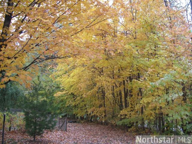 2192 Chateau Ln, Mound, MN 55364 photo 13