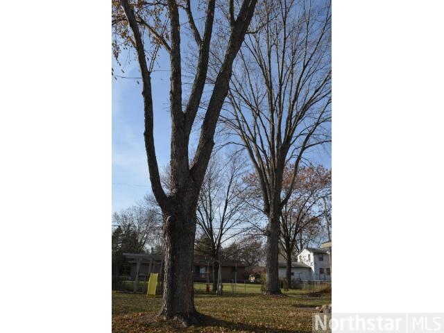 708 Baxter St N, Champlin, MN 55316 photo 16