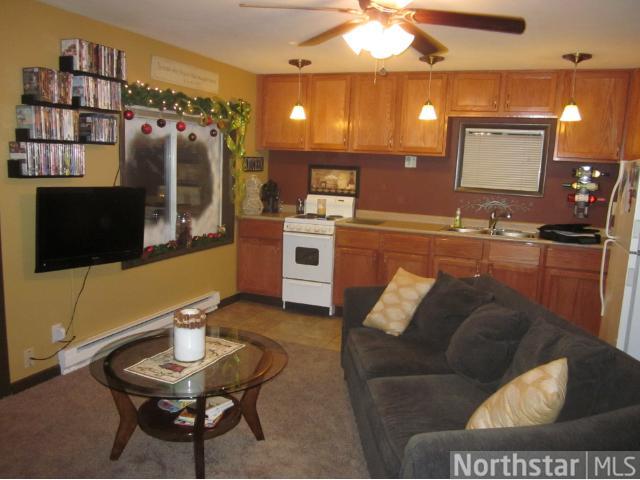 786 E Birch Ave, Barron, WI 54812 photo 5