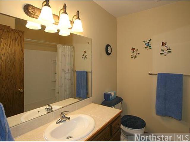 107 E Johnson St, River Falls, WI 54022 photo 14