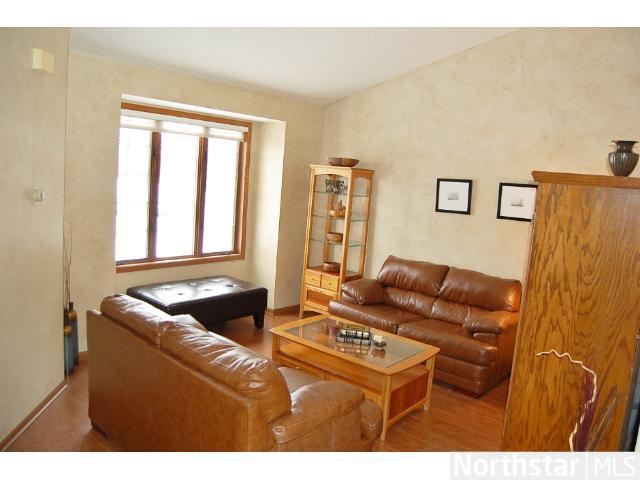 14113 Dearborn Path, Rosemount, MN 55068 photo 3
